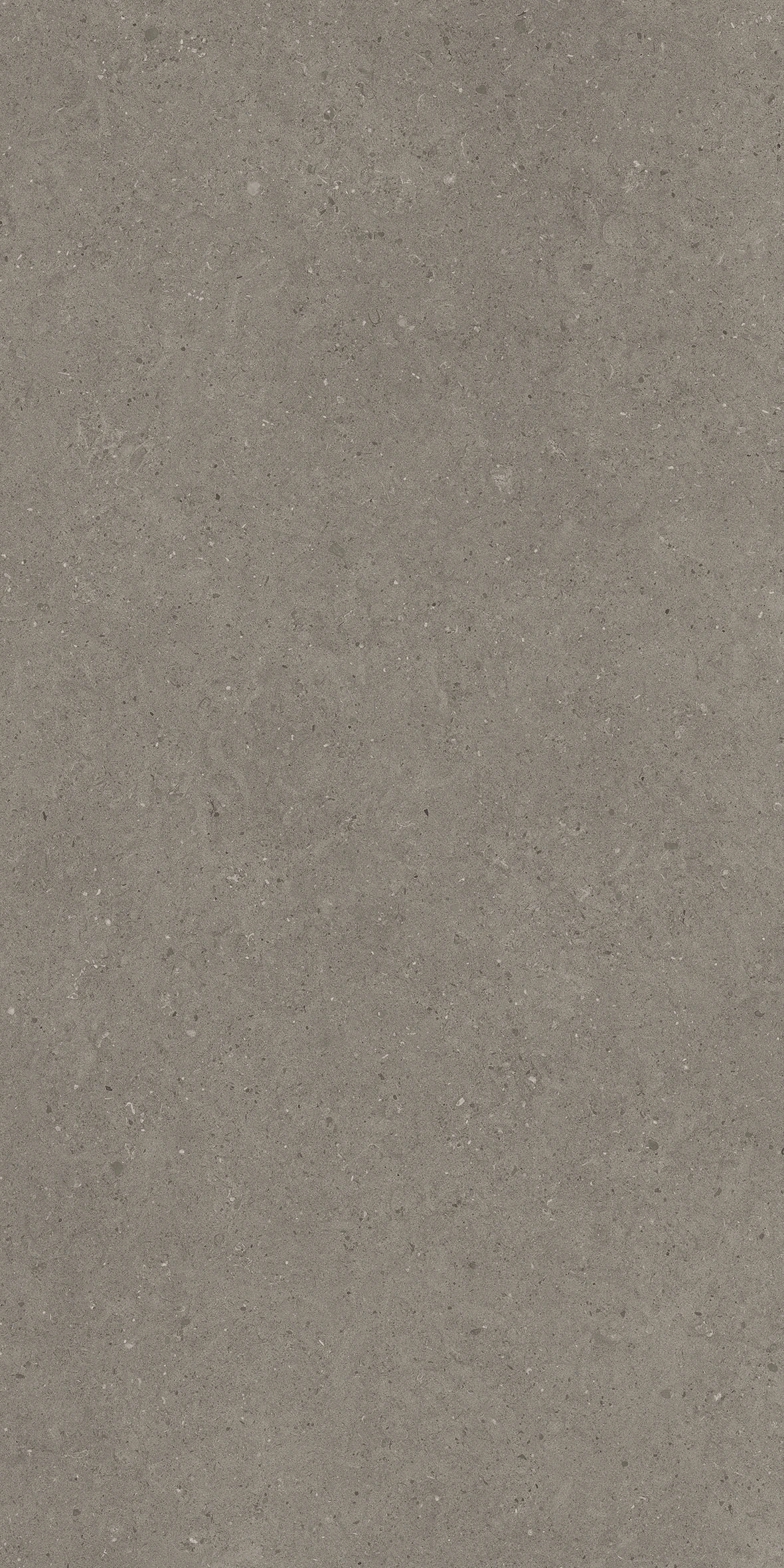 MOON GREIGE-1