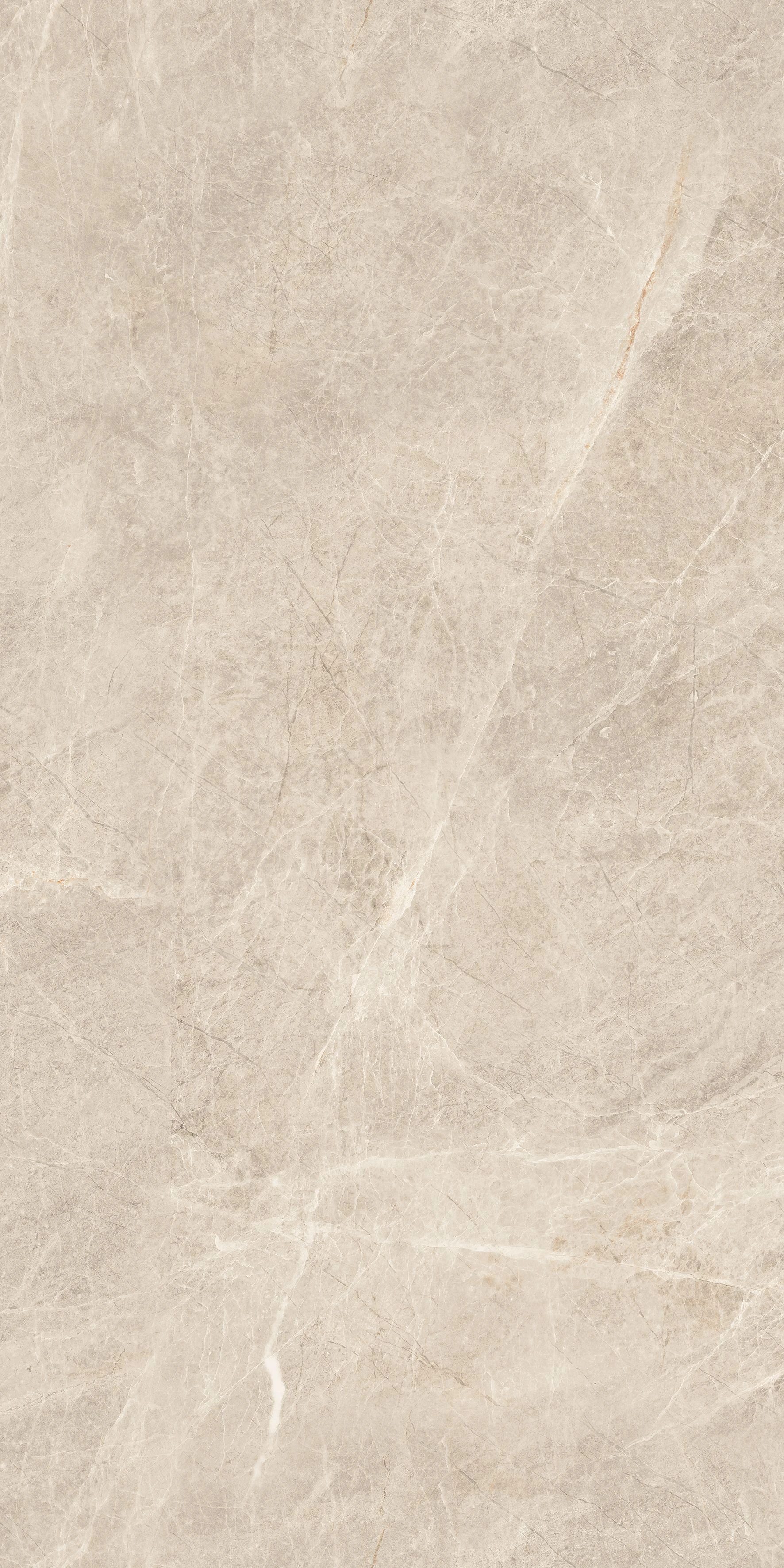 CLAN BEIGE-1