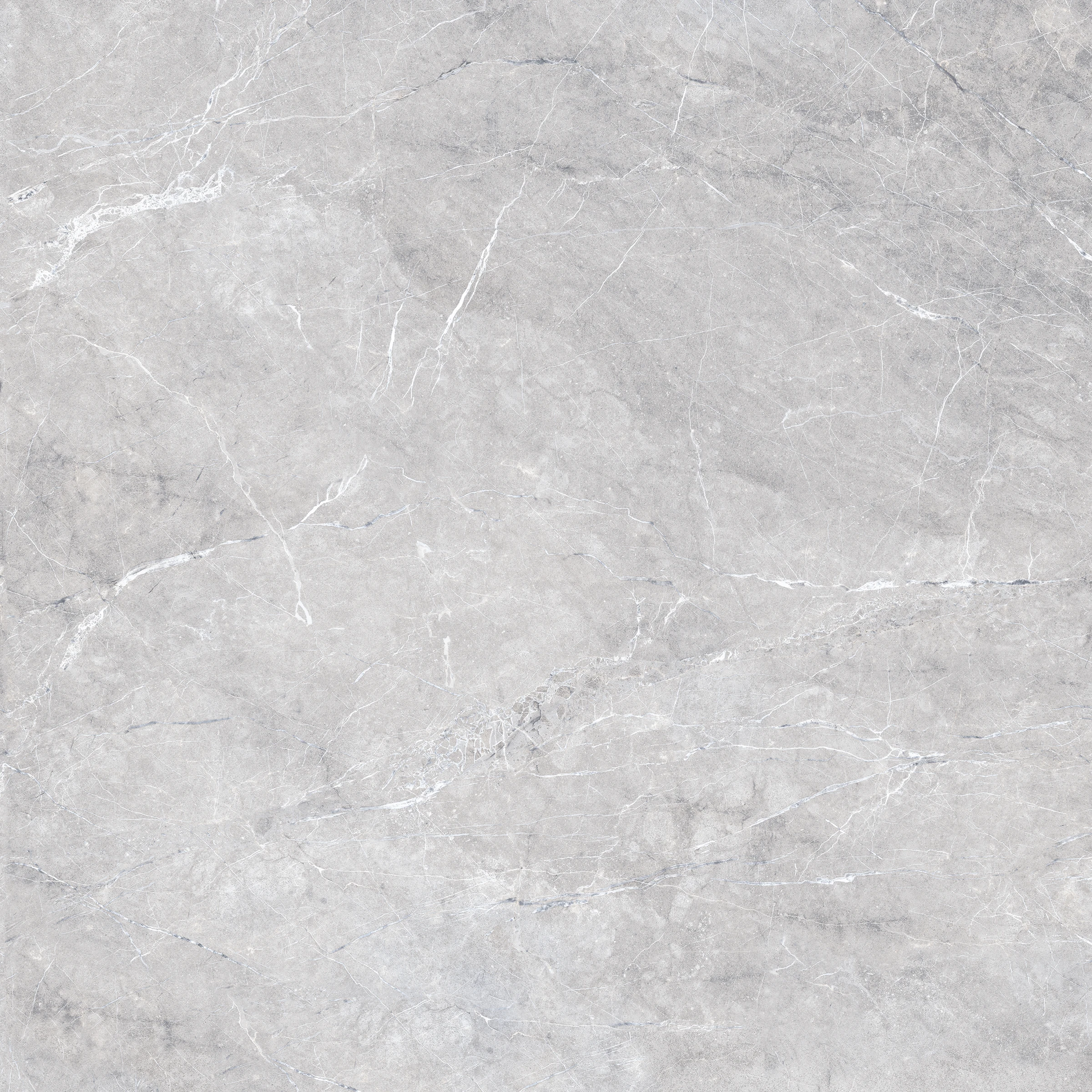 ASH FORD GREY_F1