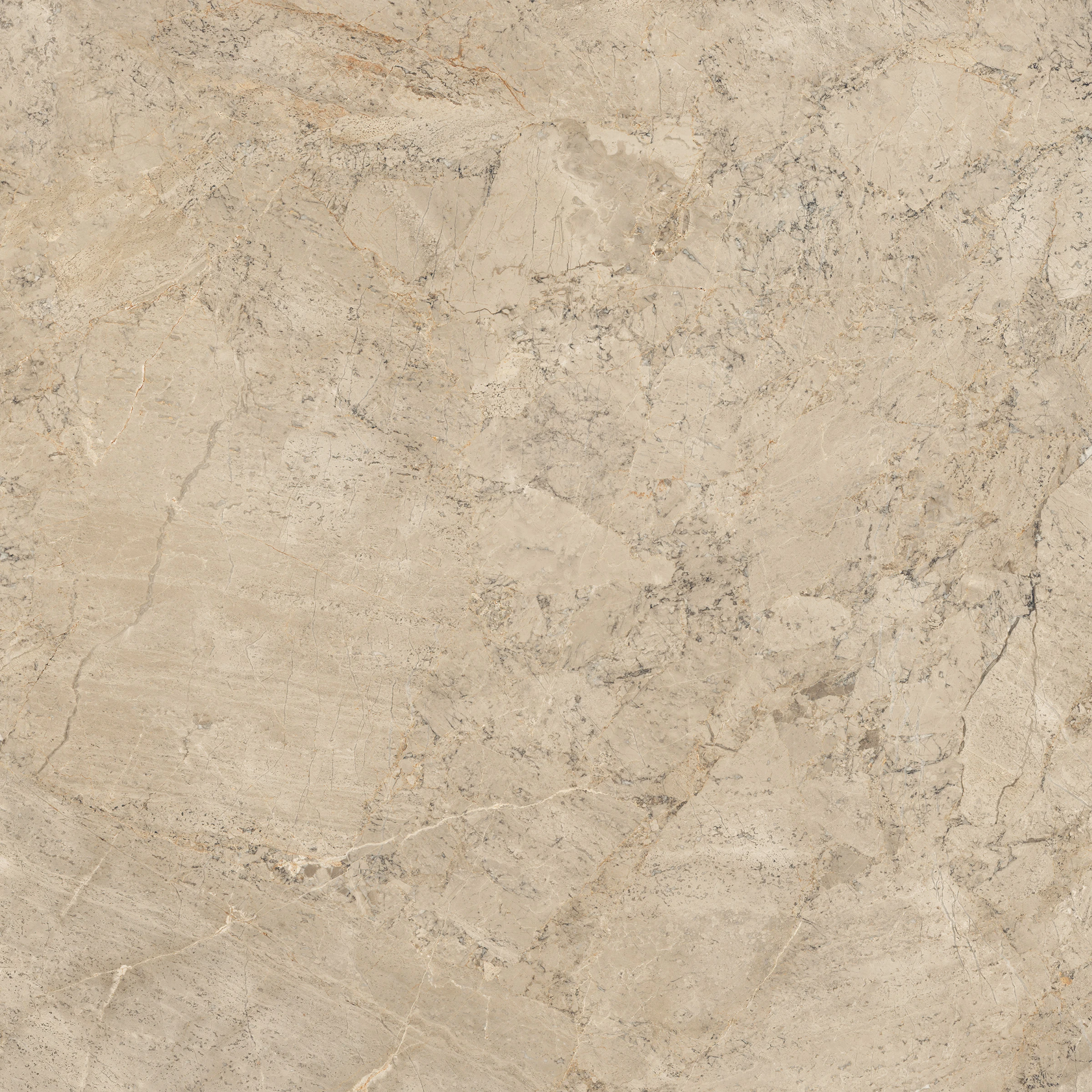 ALBERT BEIGE F1