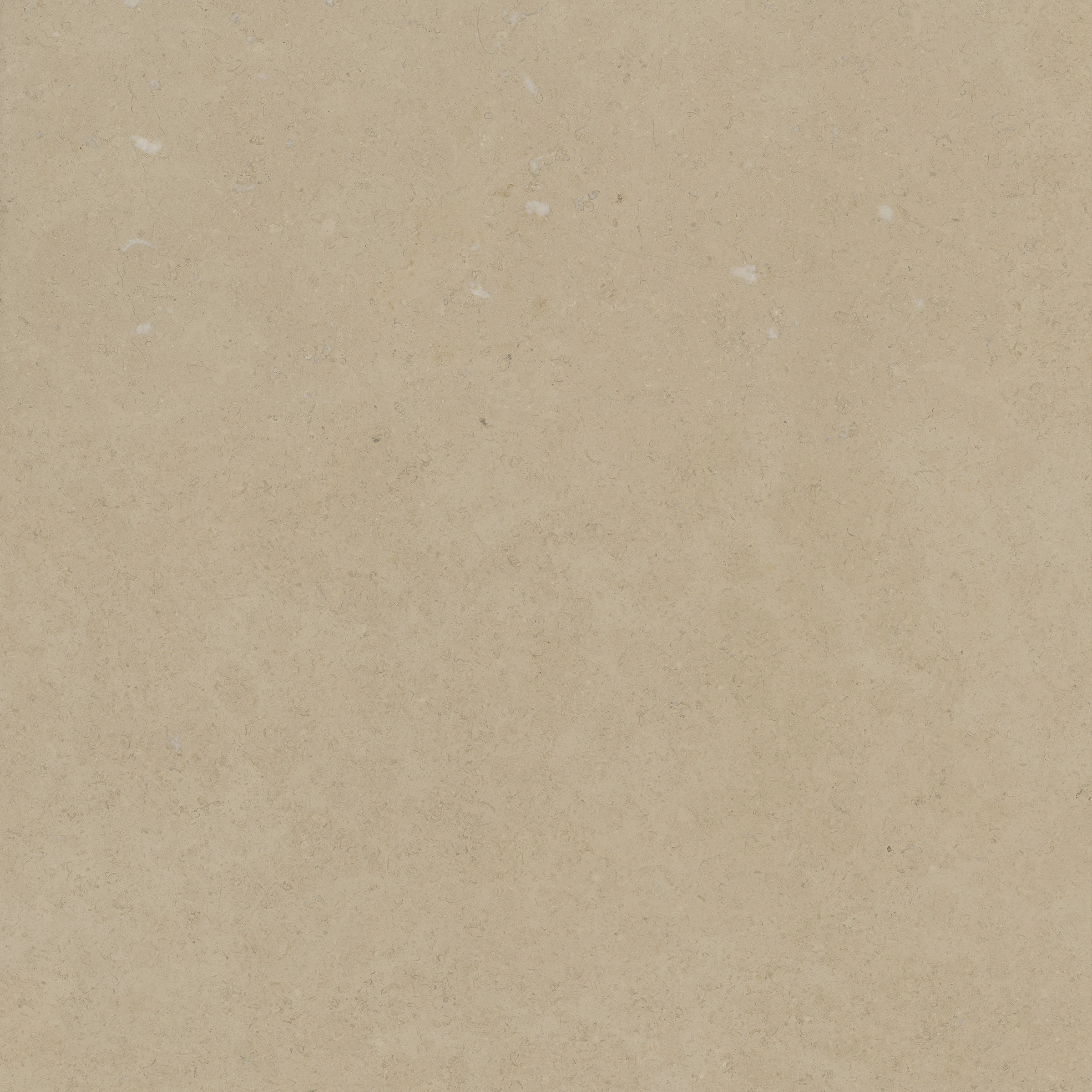FJROD BEIGE F1
