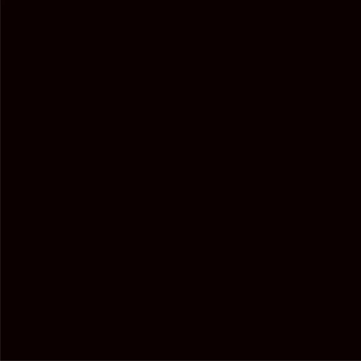 ABSOLUTE BLACK