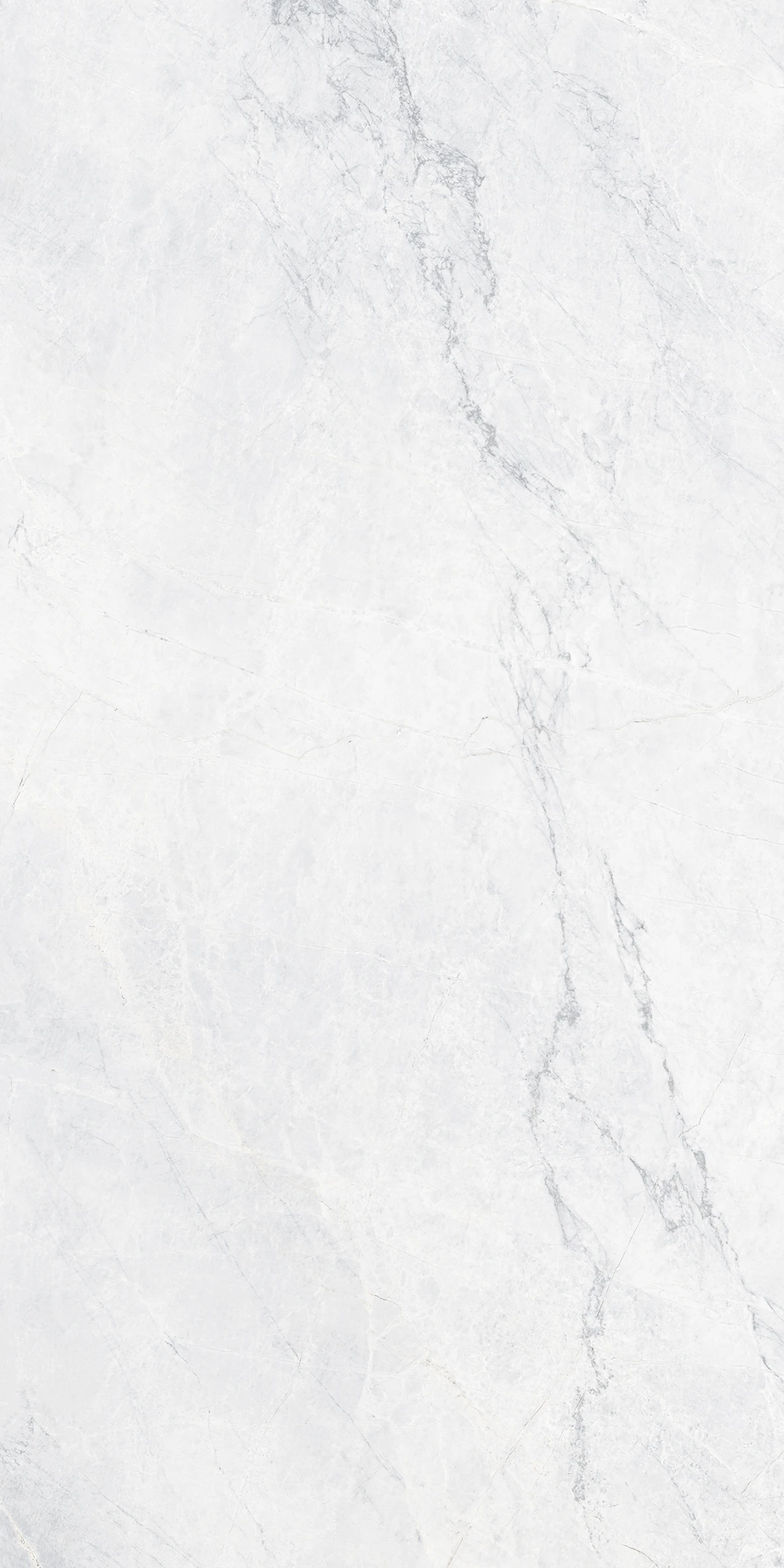 COROLATO WHITE-1