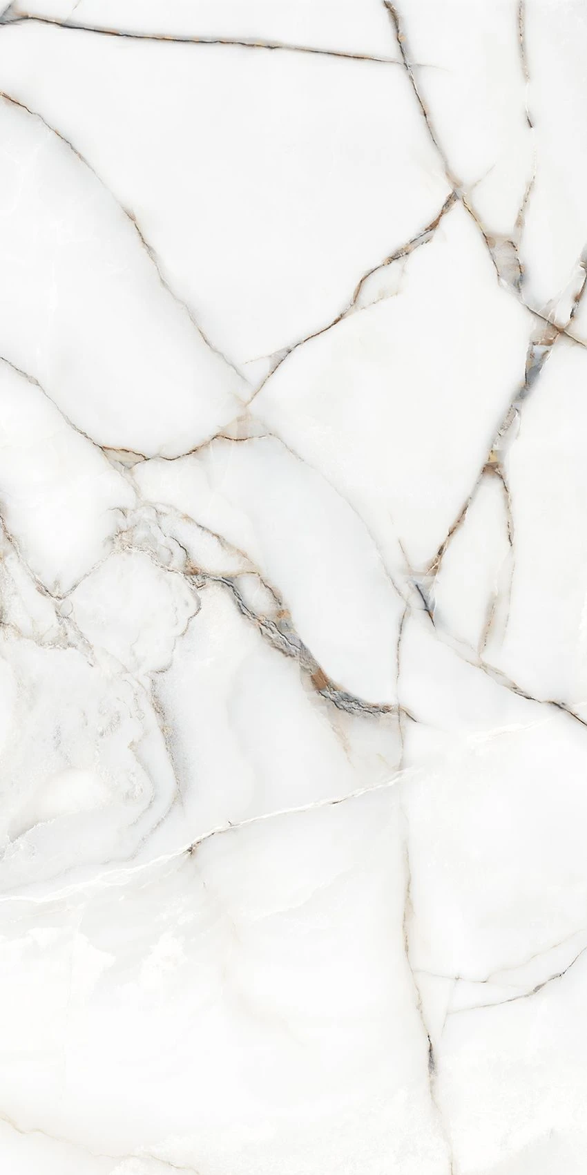 BOLD ONYX WHITE GLUM-1