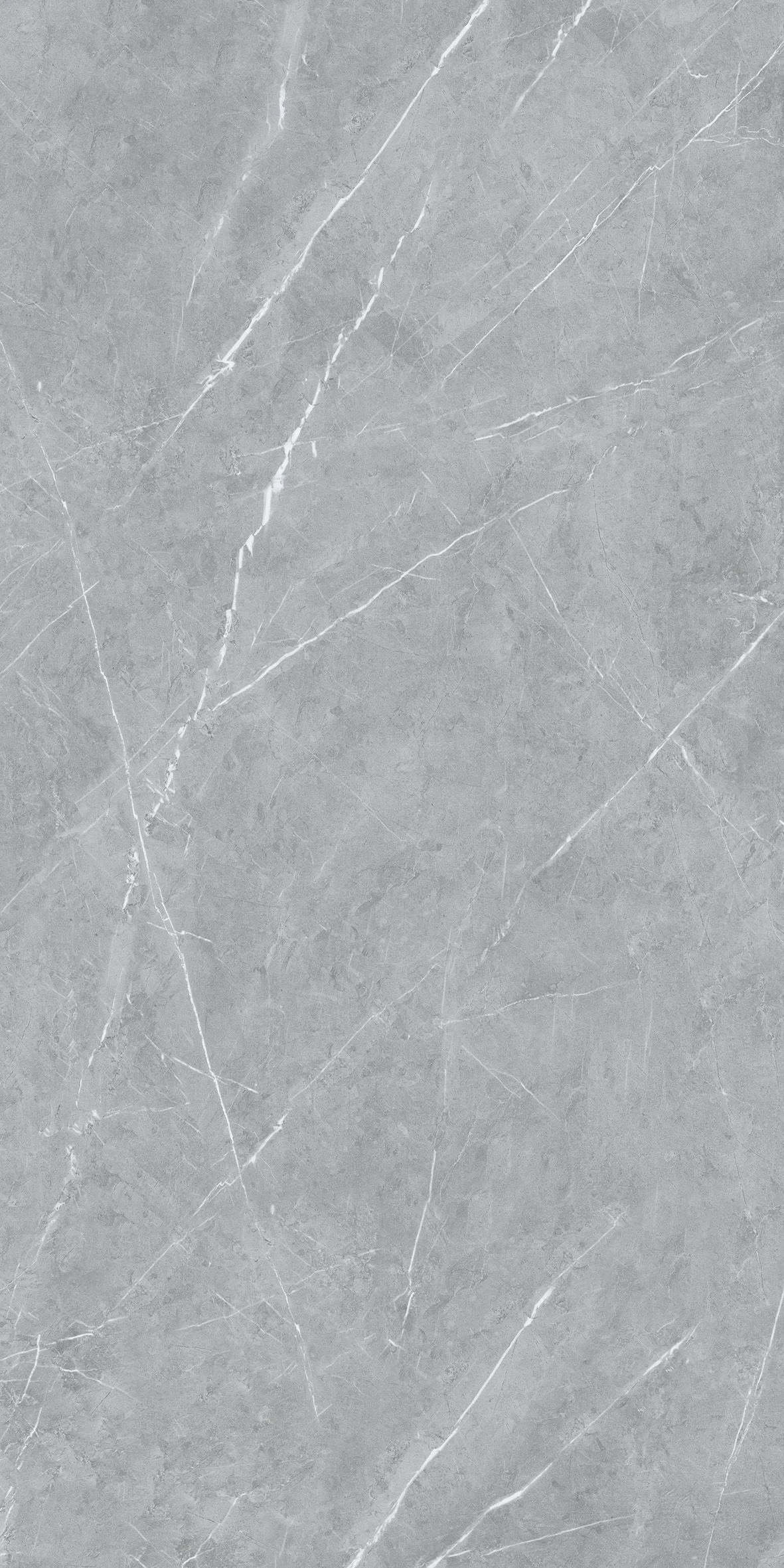 CRISTIANO GREY (E-13126)-1