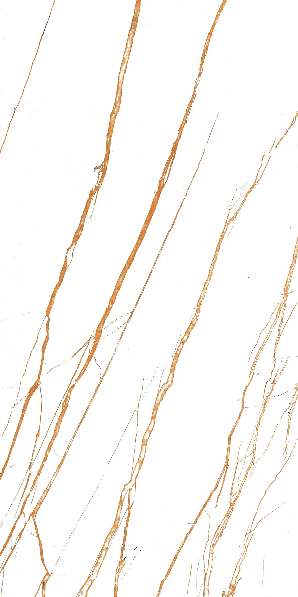 MARQUINA GOLD WHITE-1
