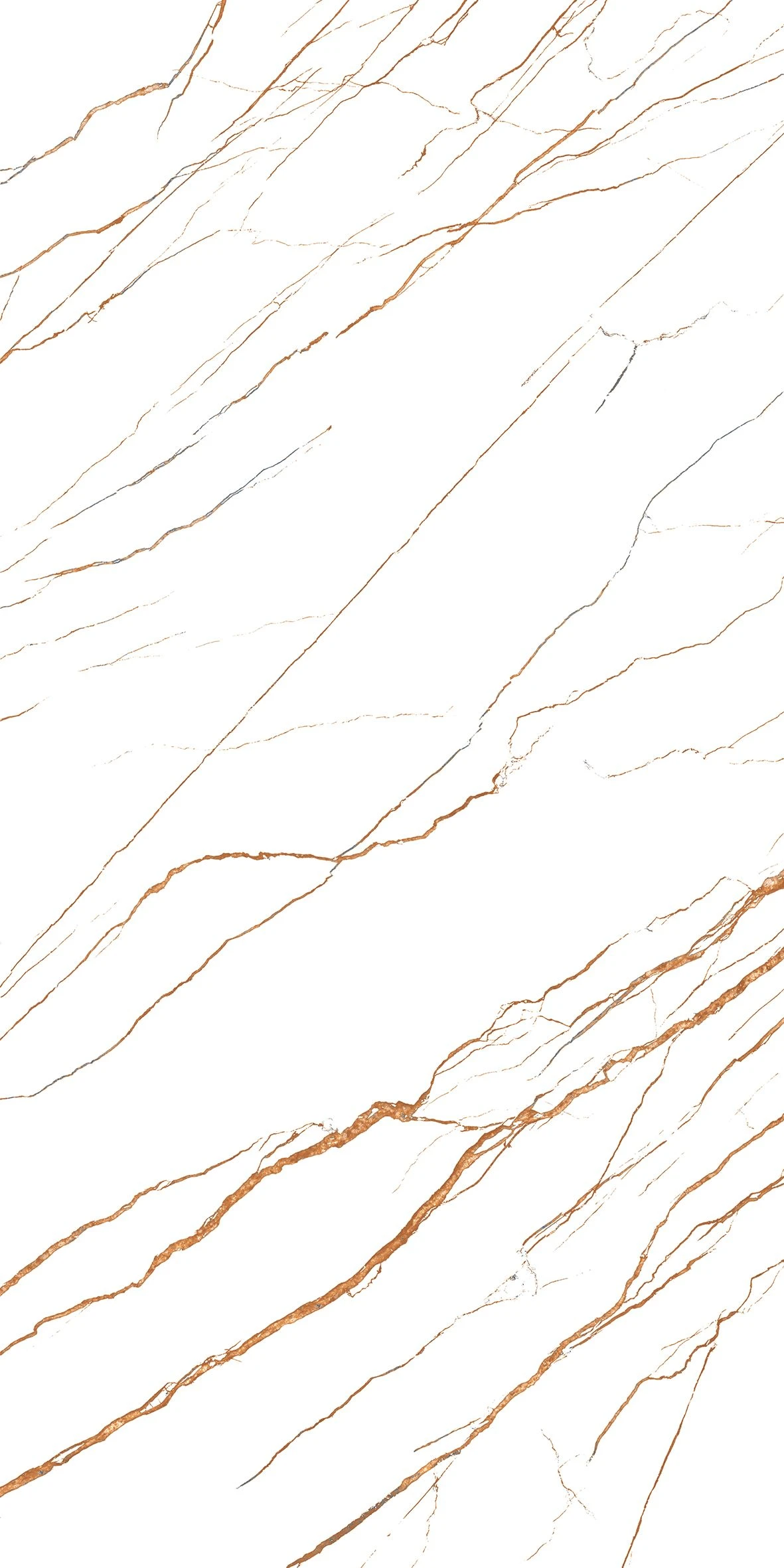 NAMIBIA WHITE-1