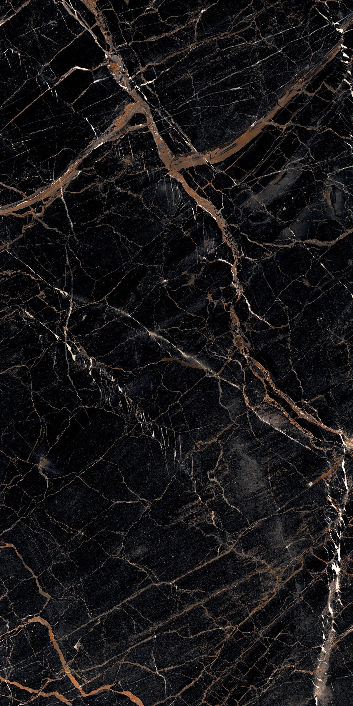 TORCELO BLACK GLUM-1
