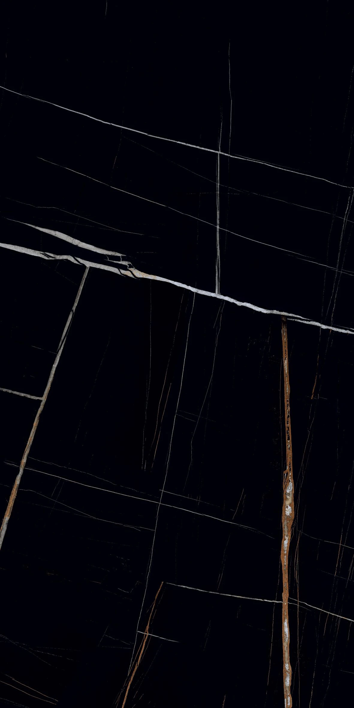 TIGER BLACK-1