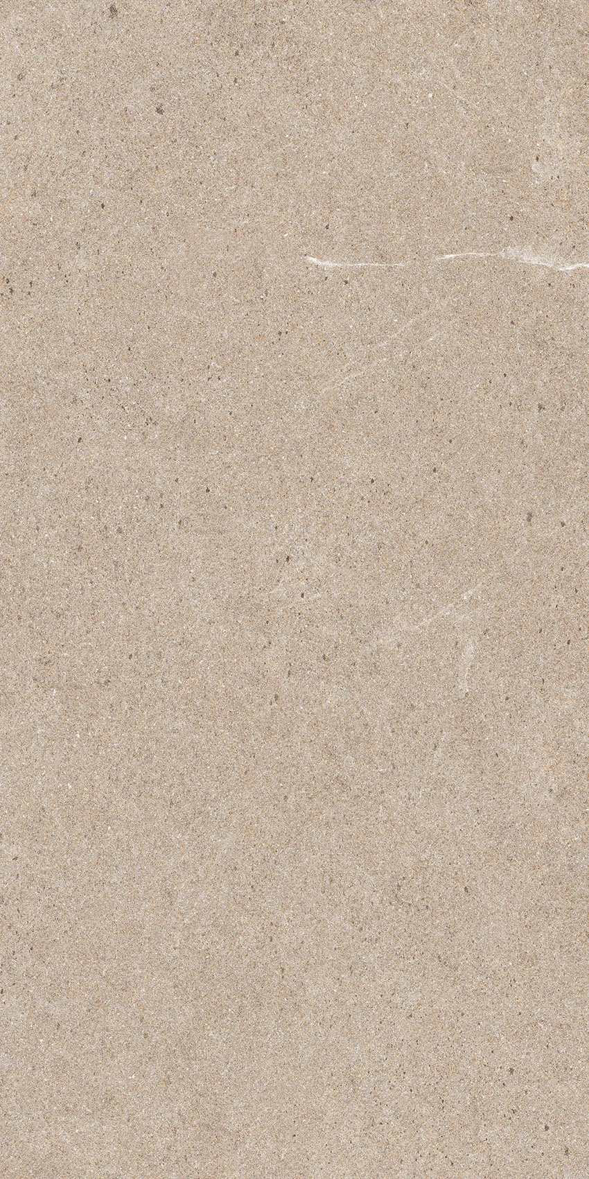 BUSH BEIGE-1