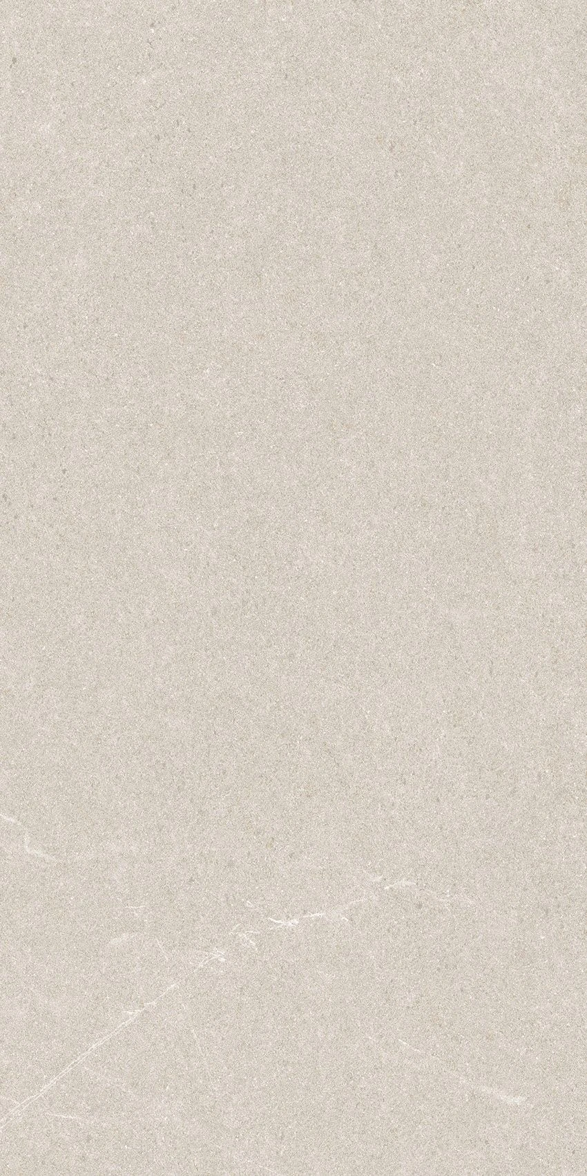 BUSH GRIS-1