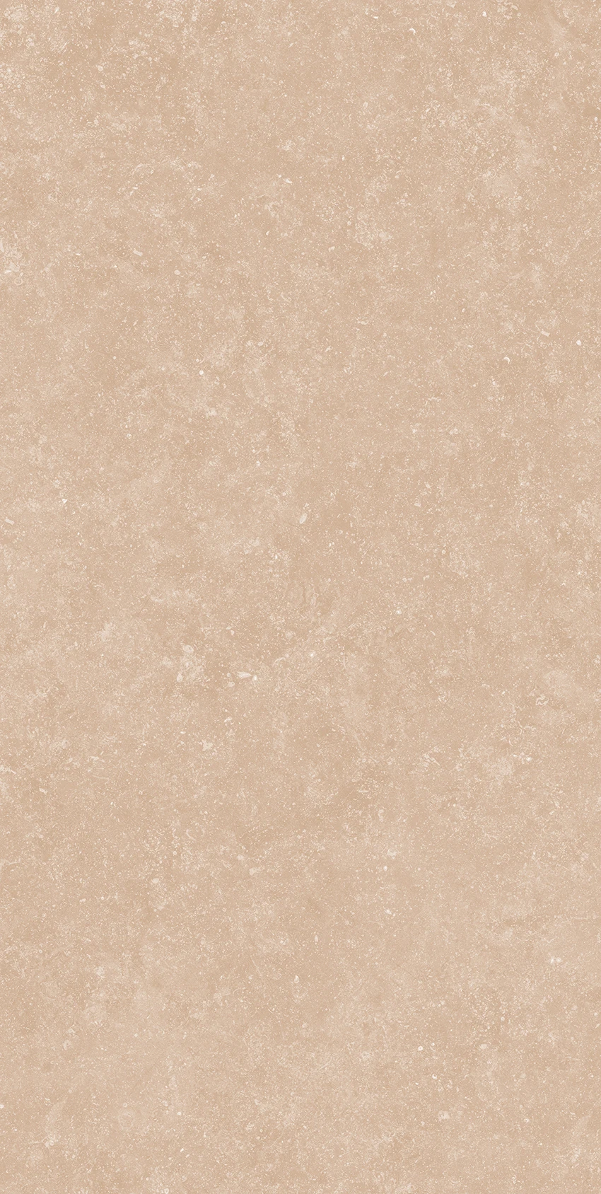 PIERRE BEIGE -1