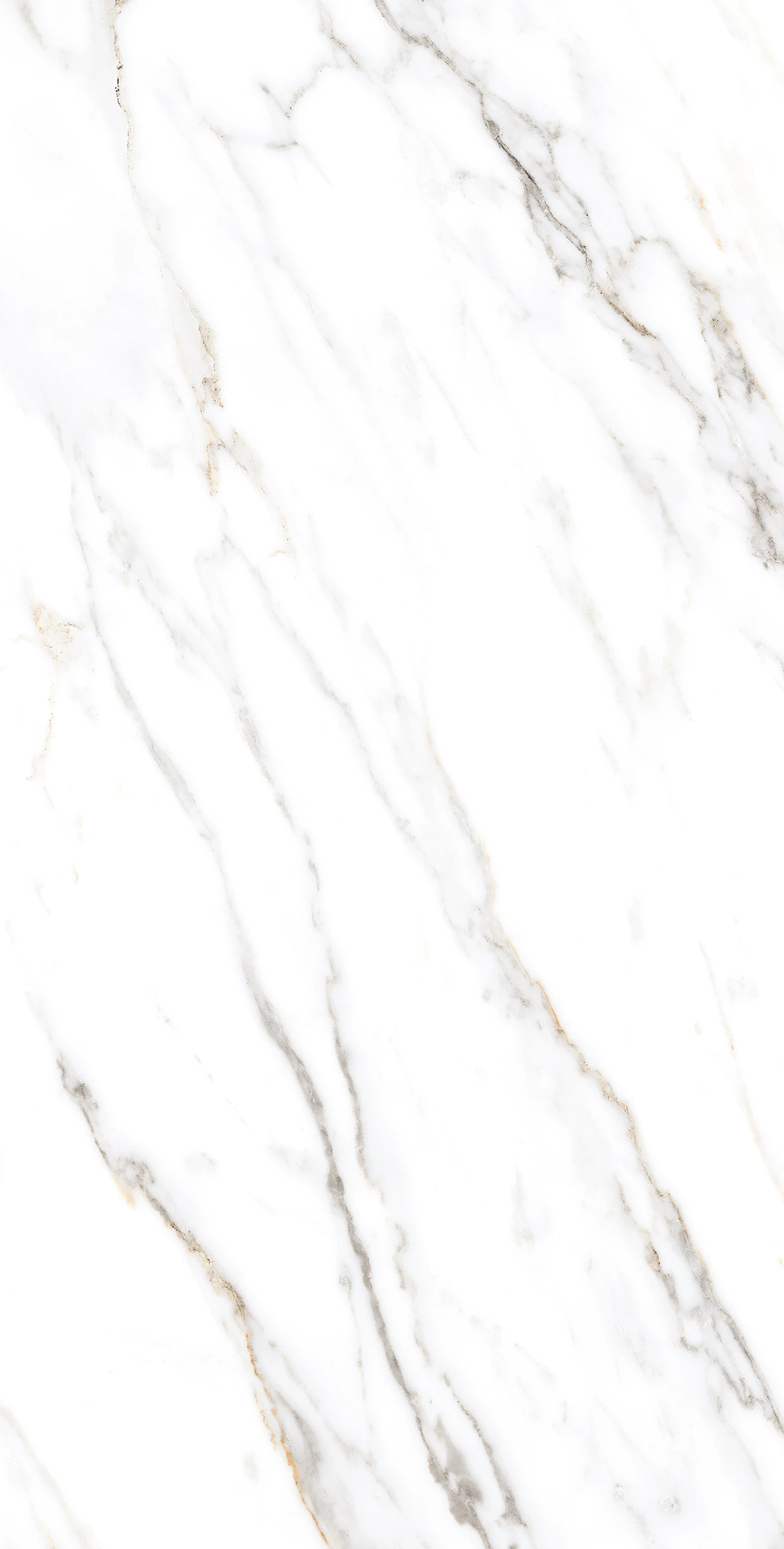 ALABASTER WHITE-1
