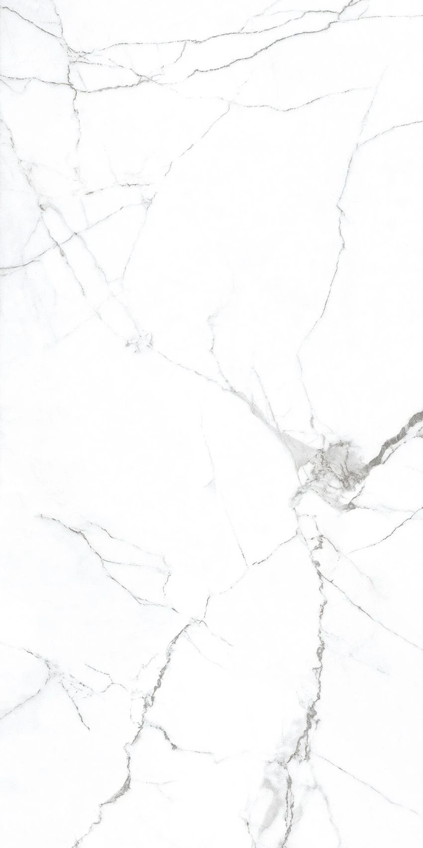 COLONIAL WHITE (E-13074)-1