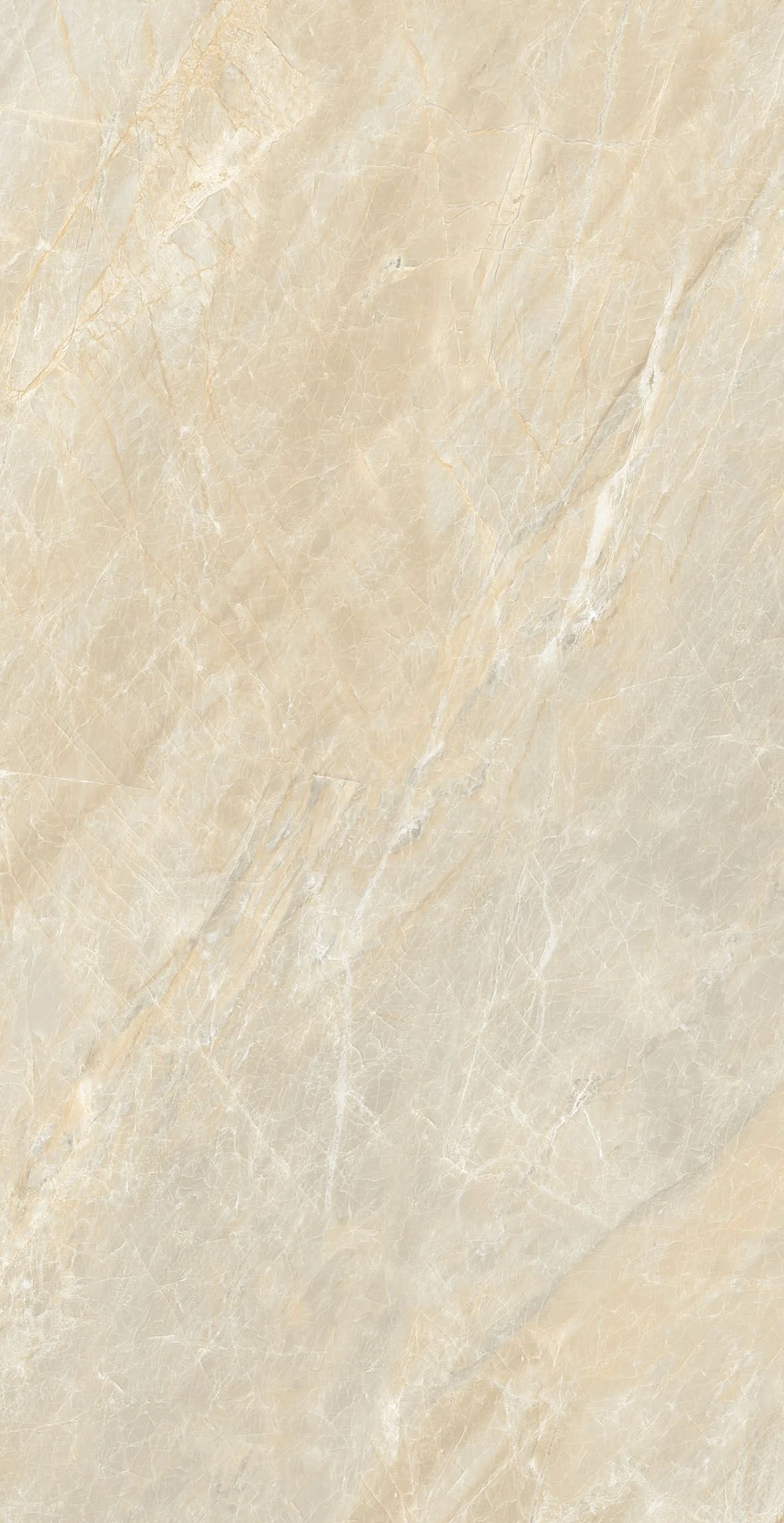 ATELIER CREMA (E-13122)-1