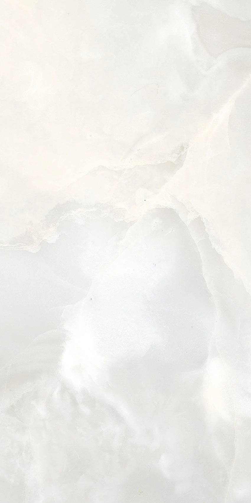 ARELY BLANCO (E-12121)-1
