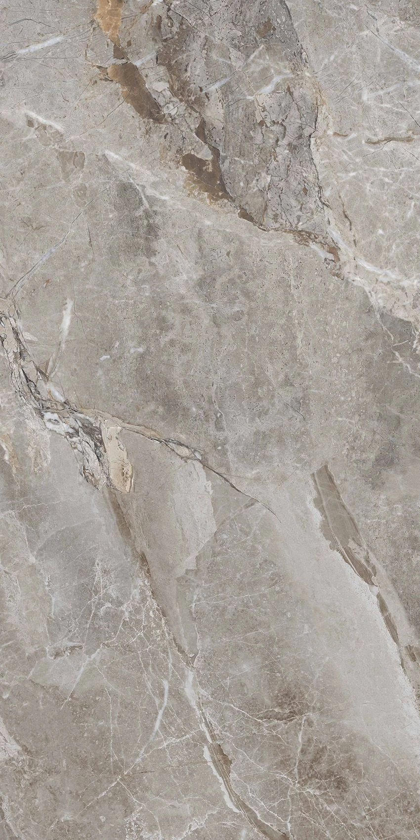 MARCELL GREY (E-12102)-1