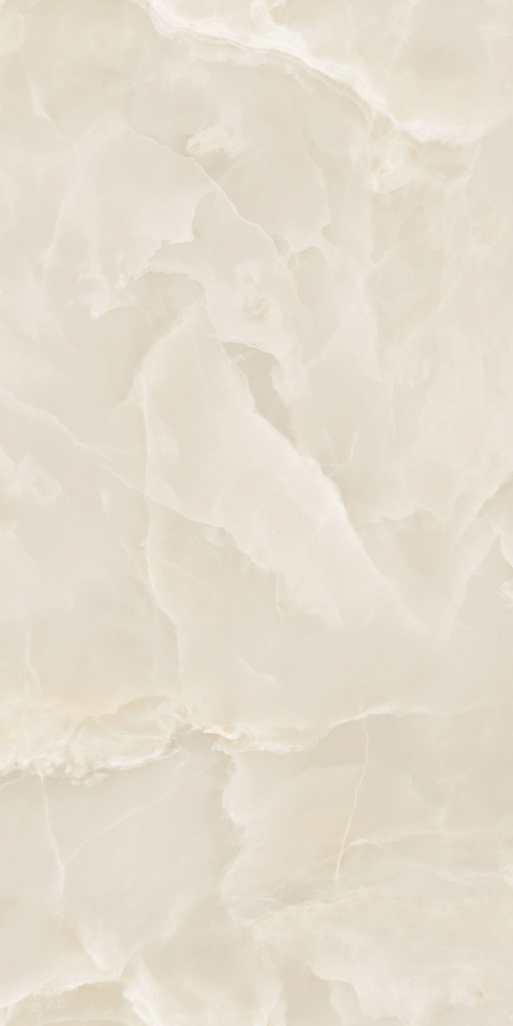 ROSE ONYX IVORY EXPO-1