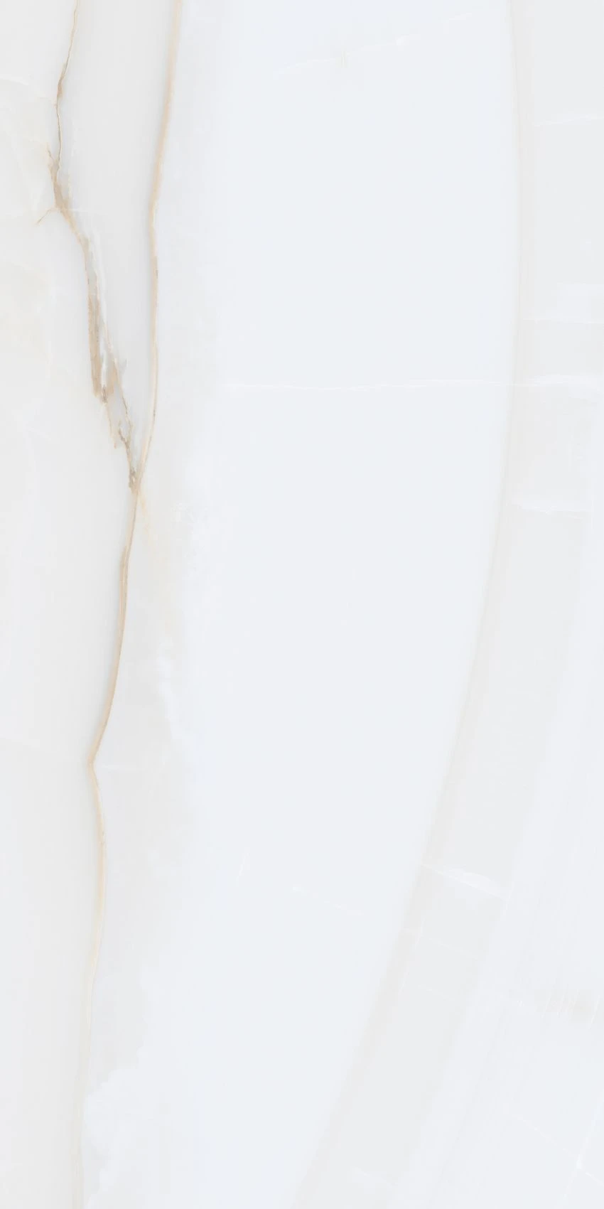 SOL WHITE-1 (1)
