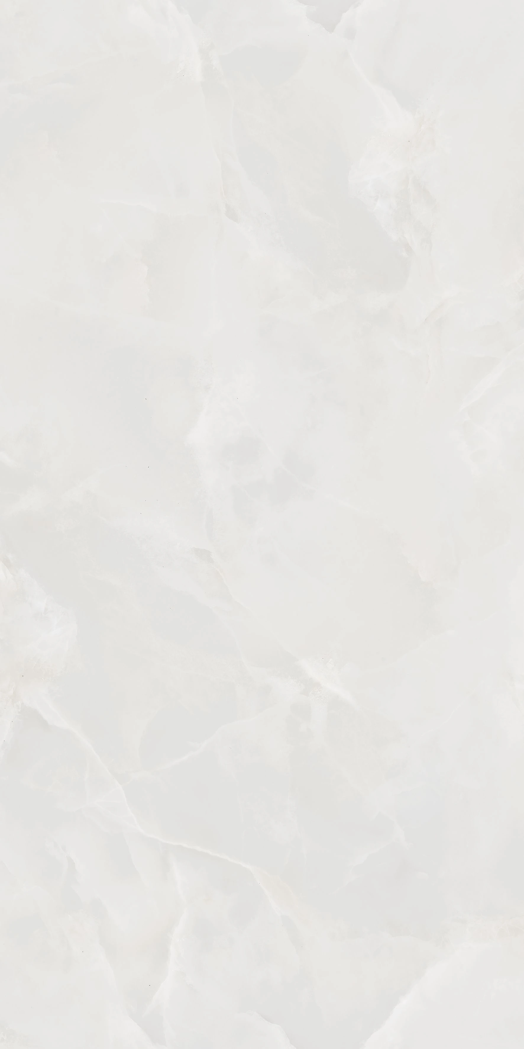 ROSE ONYX WHITE EXPO-1