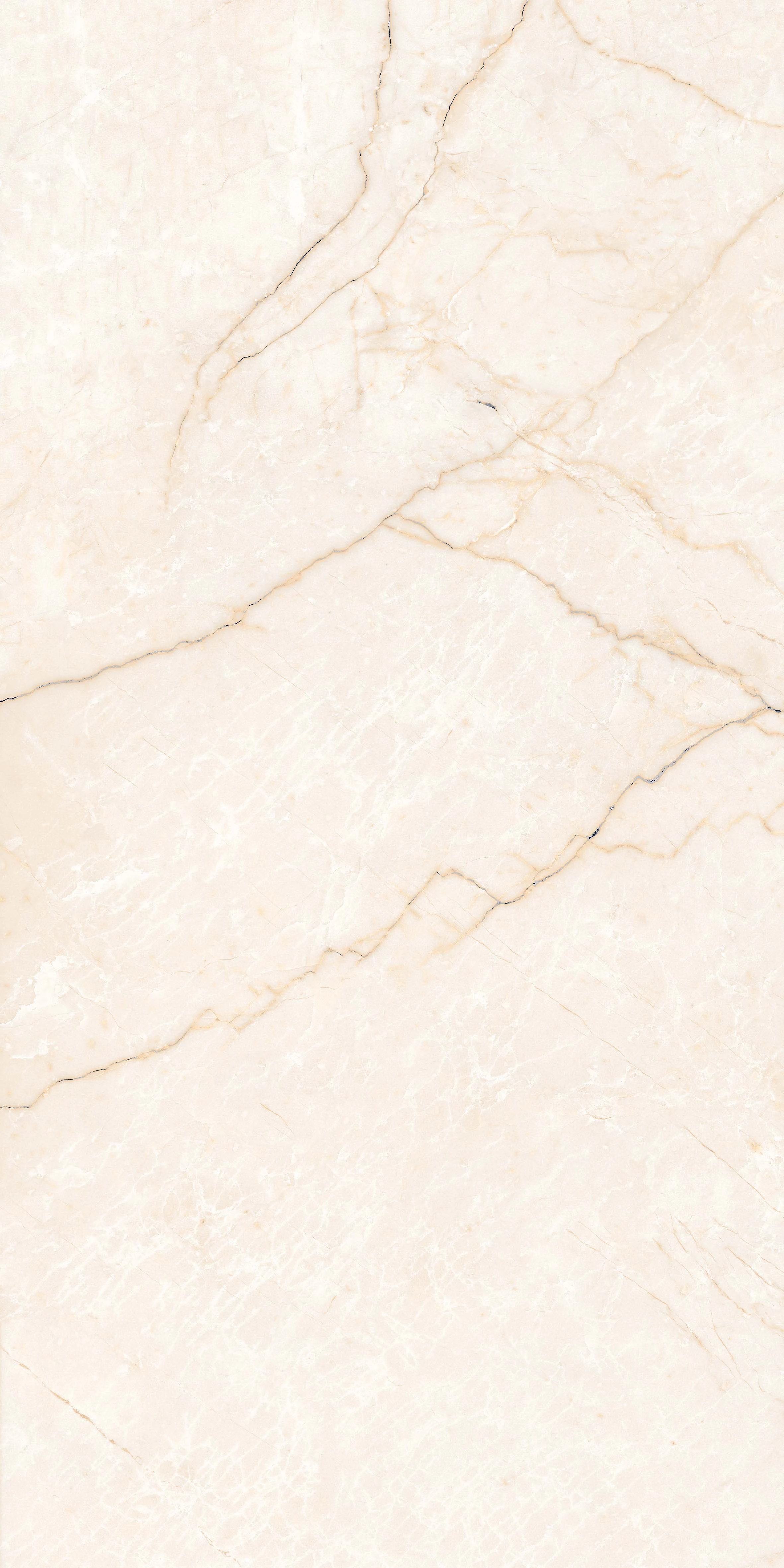 SEGESTA CREMA (1)