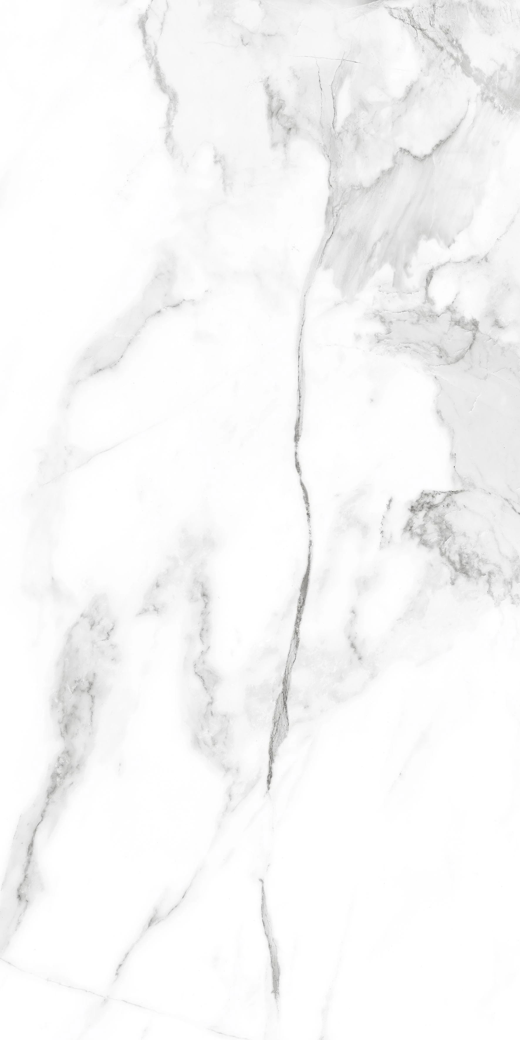 STATUARIO PARADISE GREY-1