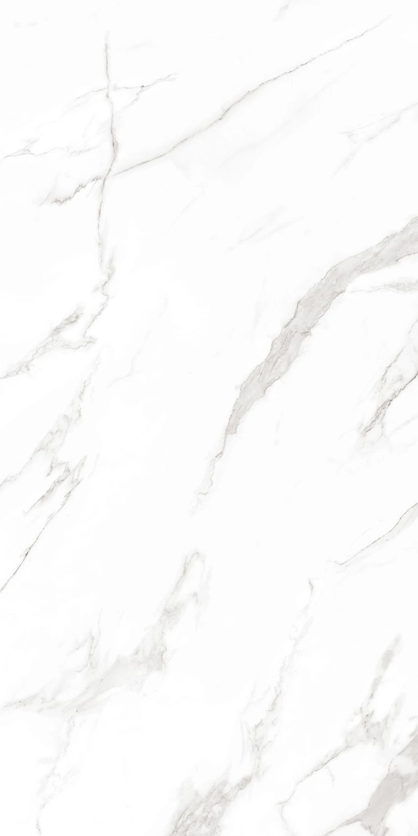 STATUARIO CARRARA-1