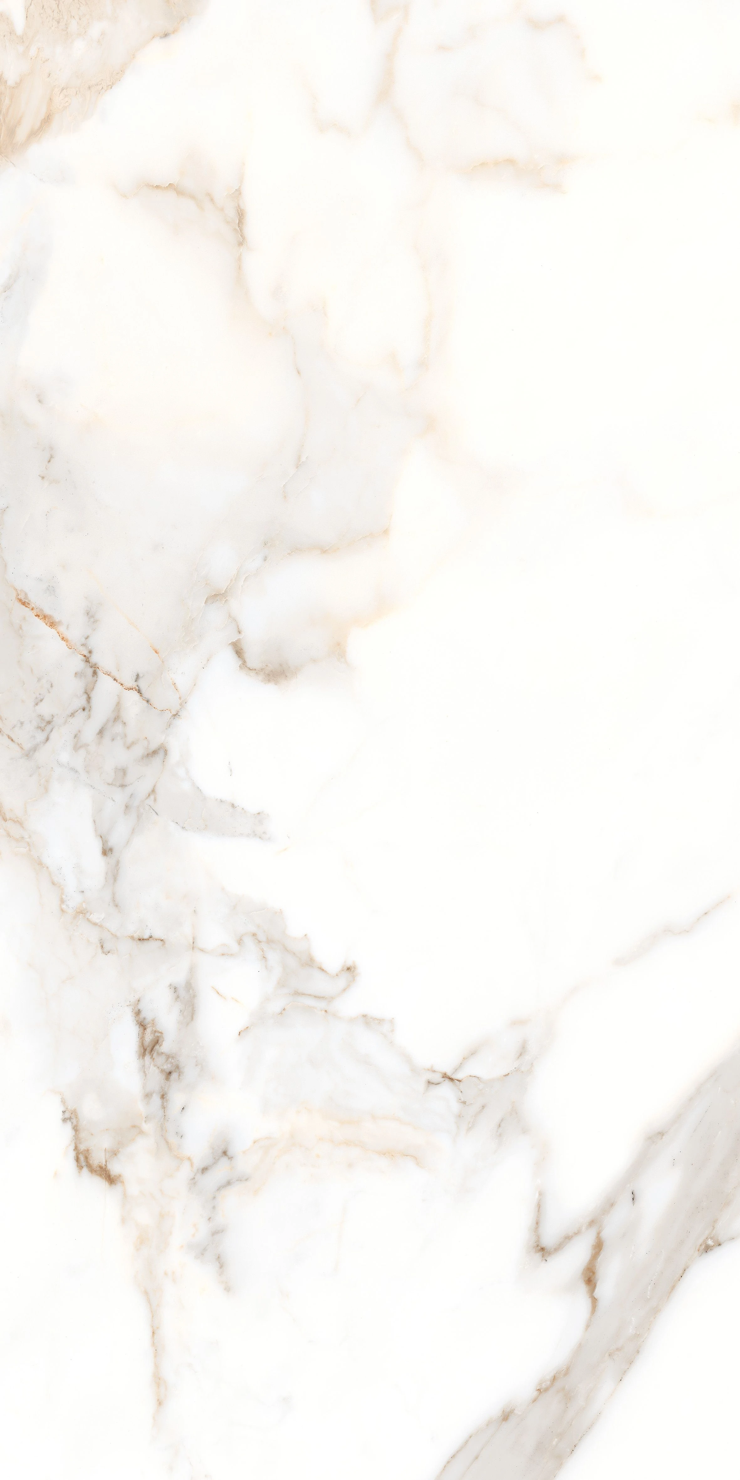 STATUARIO PARADISE SHINE-1