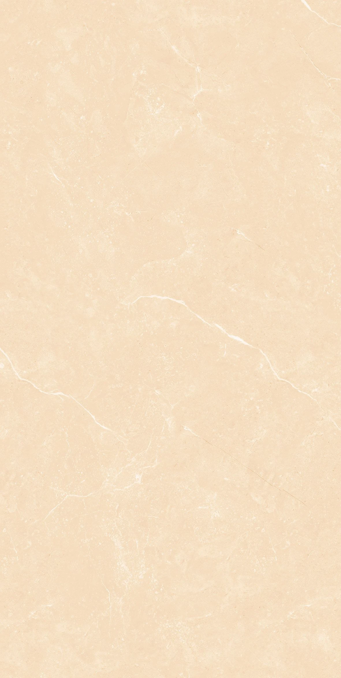 TOKYO BEIGE SAP-1
