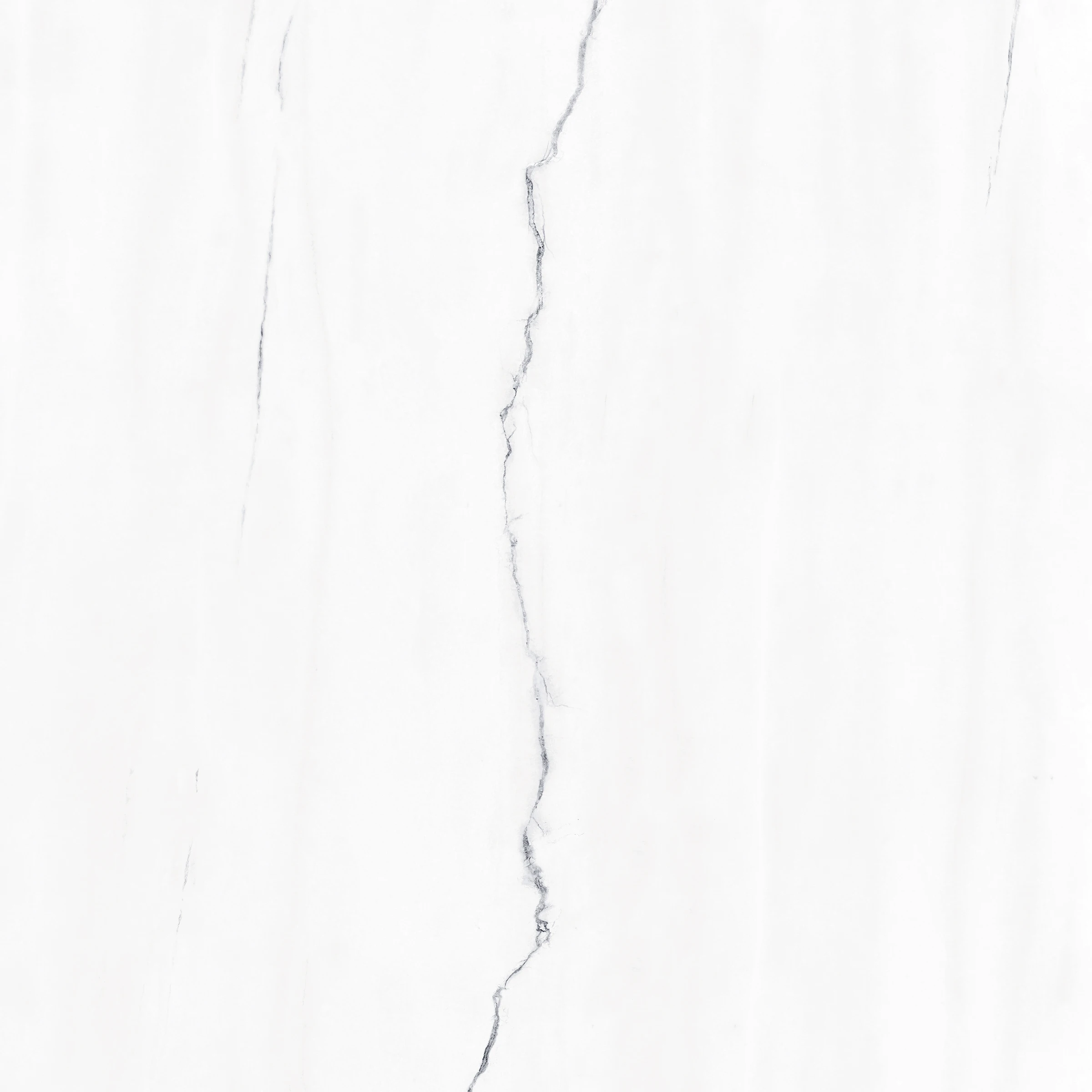 ASH WHITE_F1