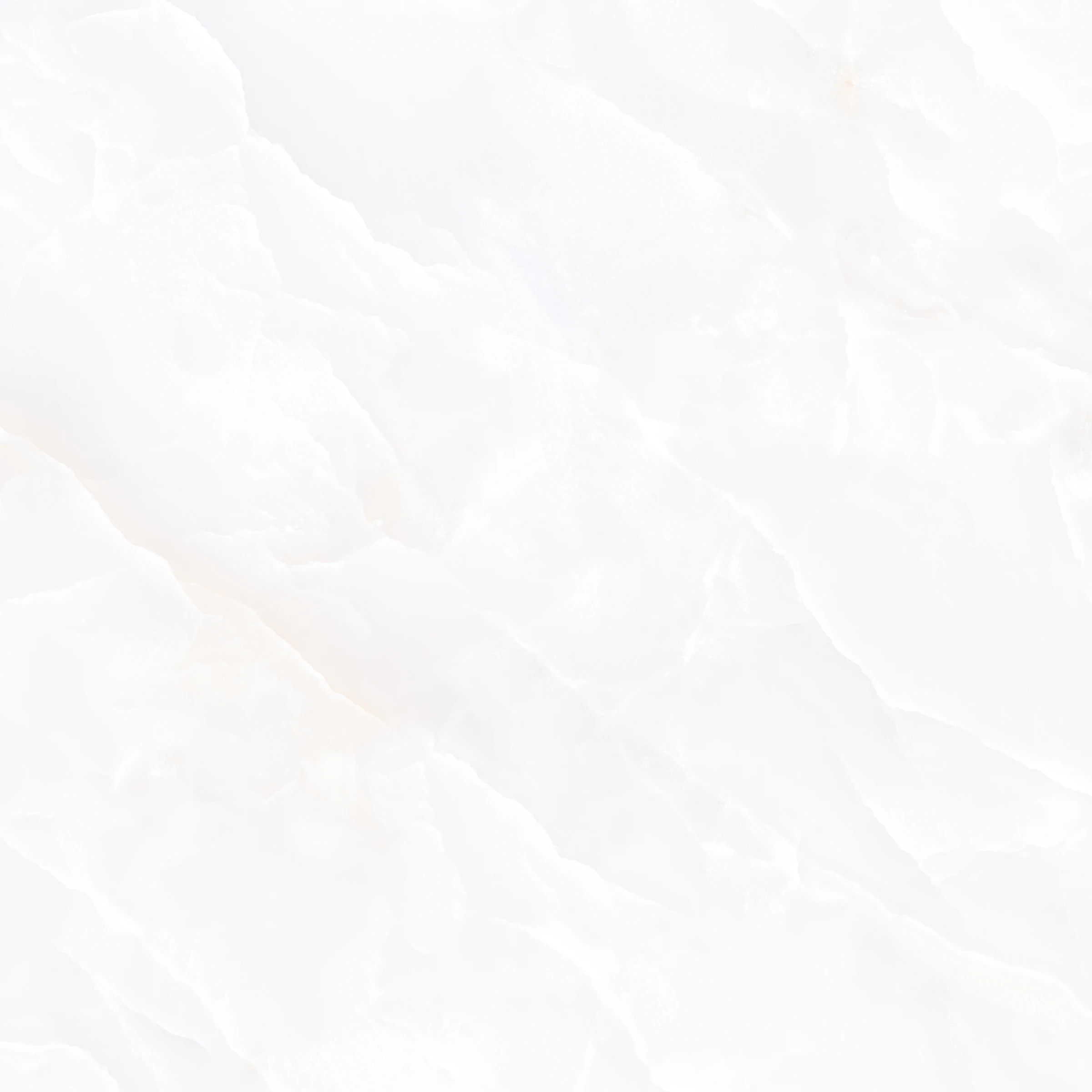 ARCTIC ONYX F1