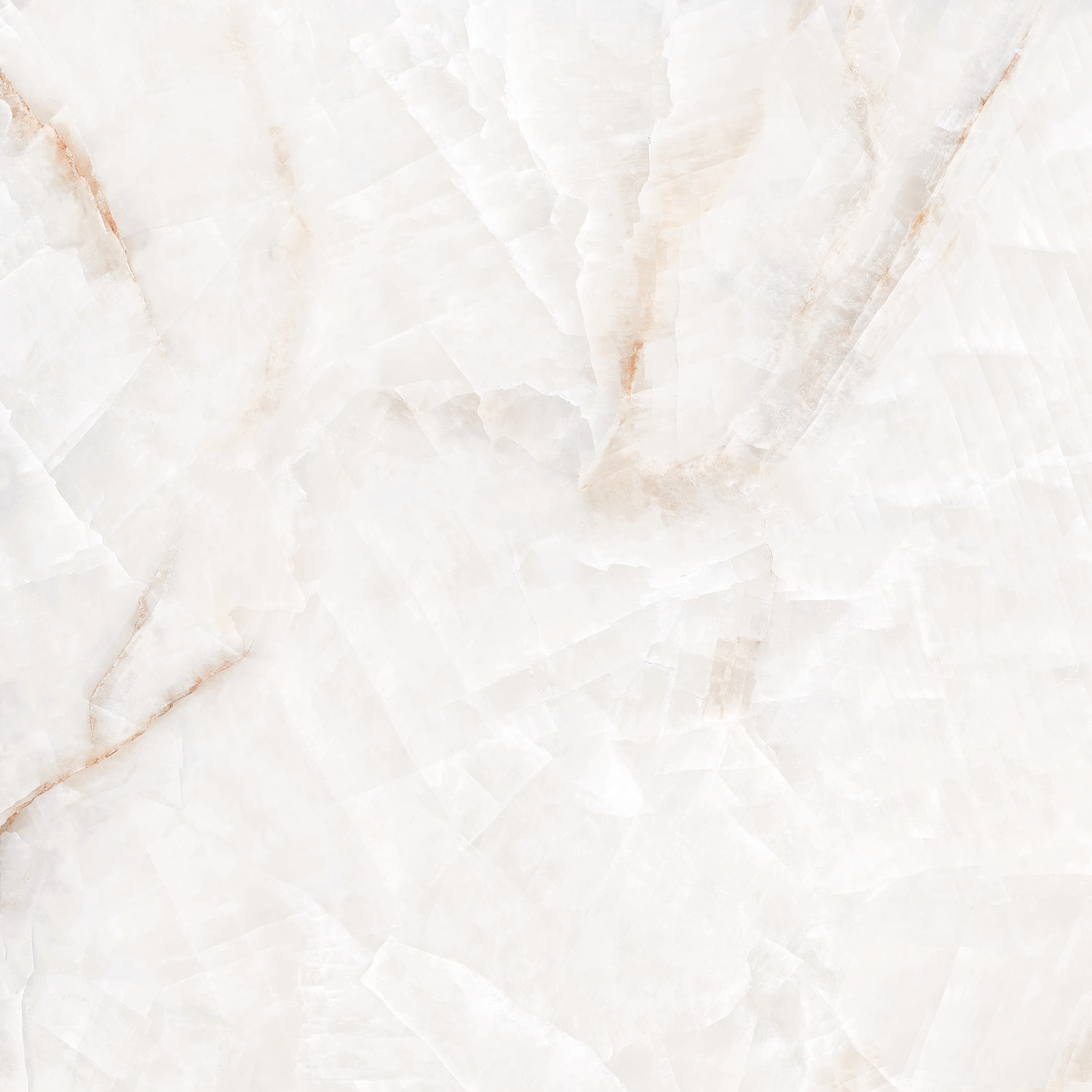 BIRCH ONYX_F1