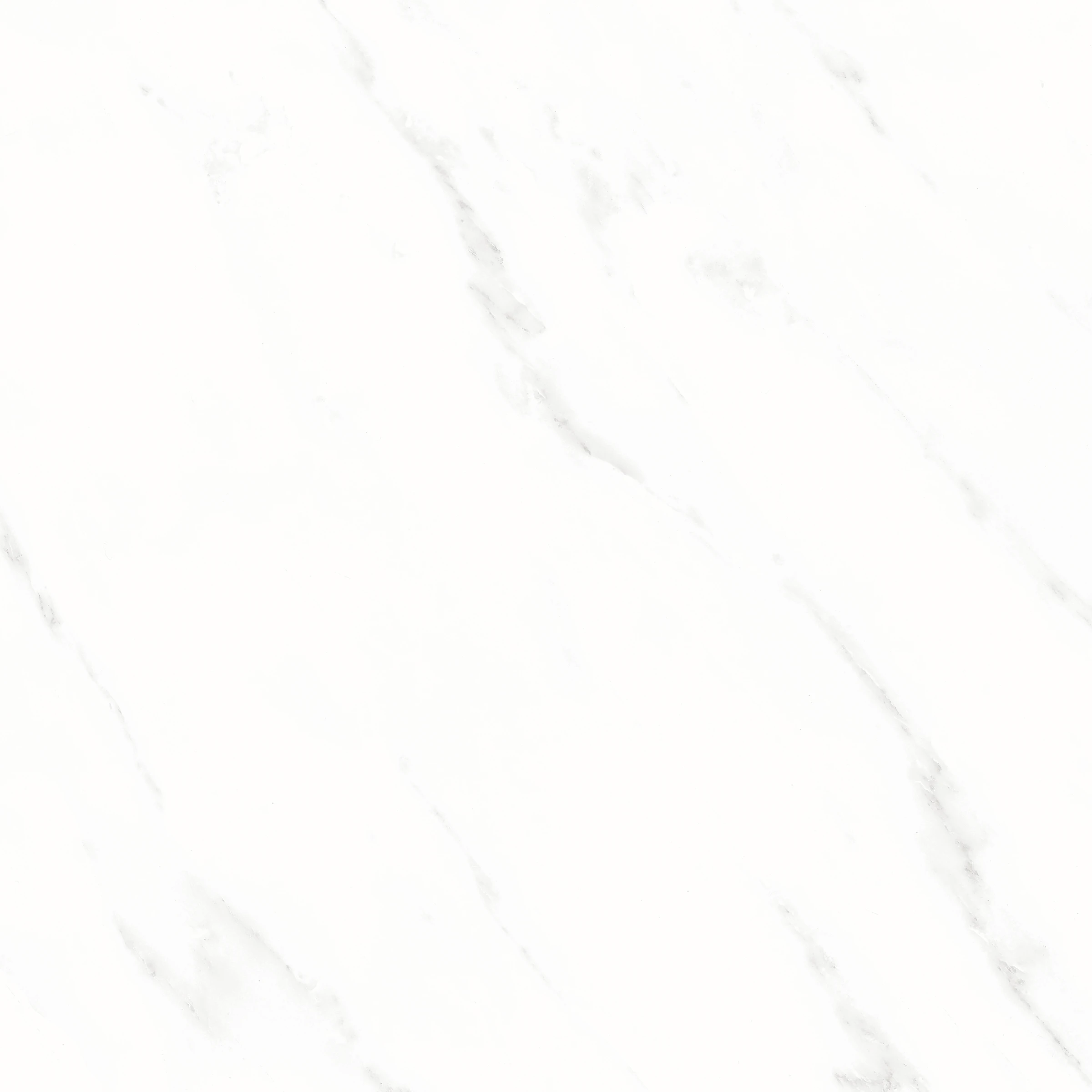 ARGOS CARRARA_F1