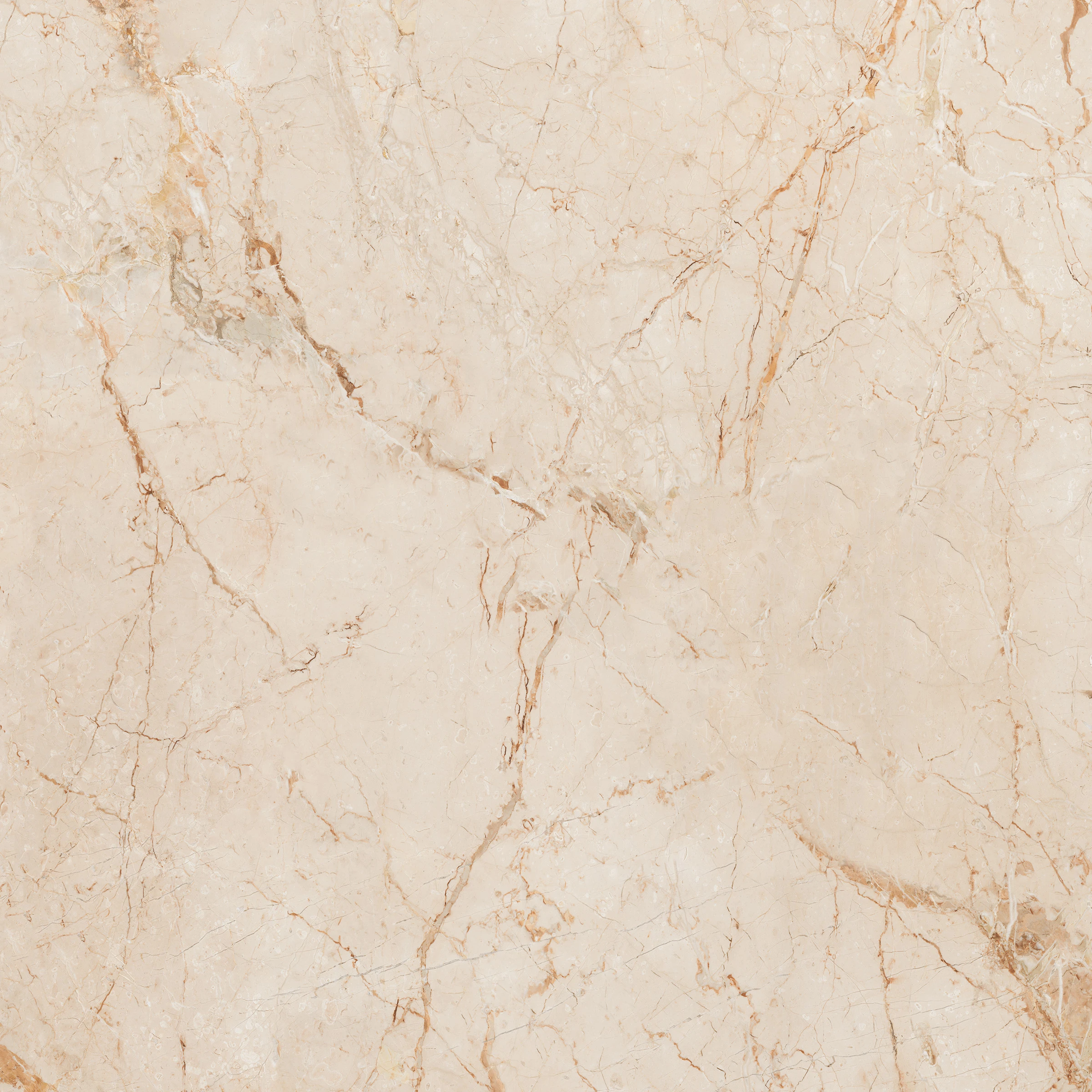 ARCADIA BEIGE_ F1