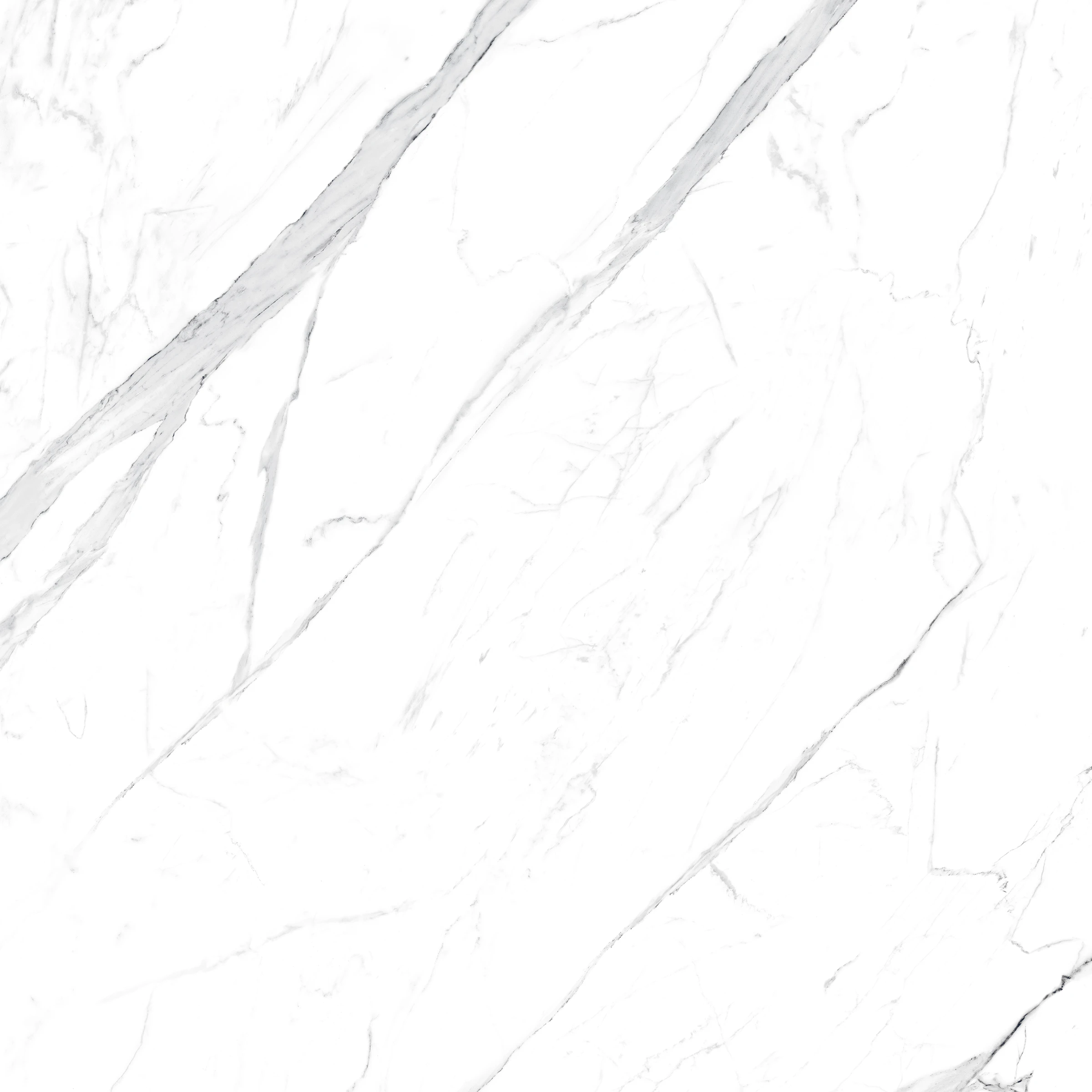 ARTIC STATUARIO_F1