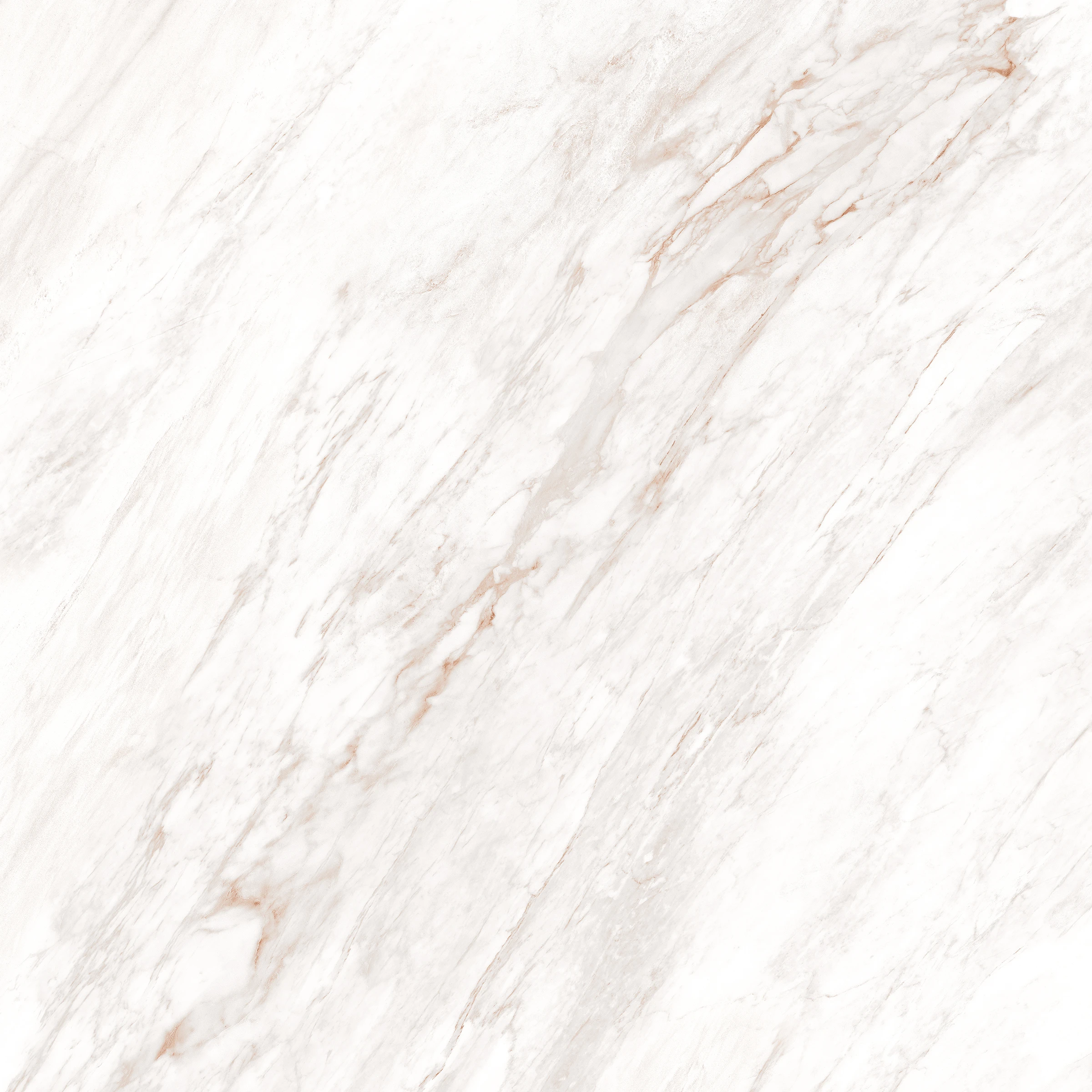 CARRARA DELCICATO_F1