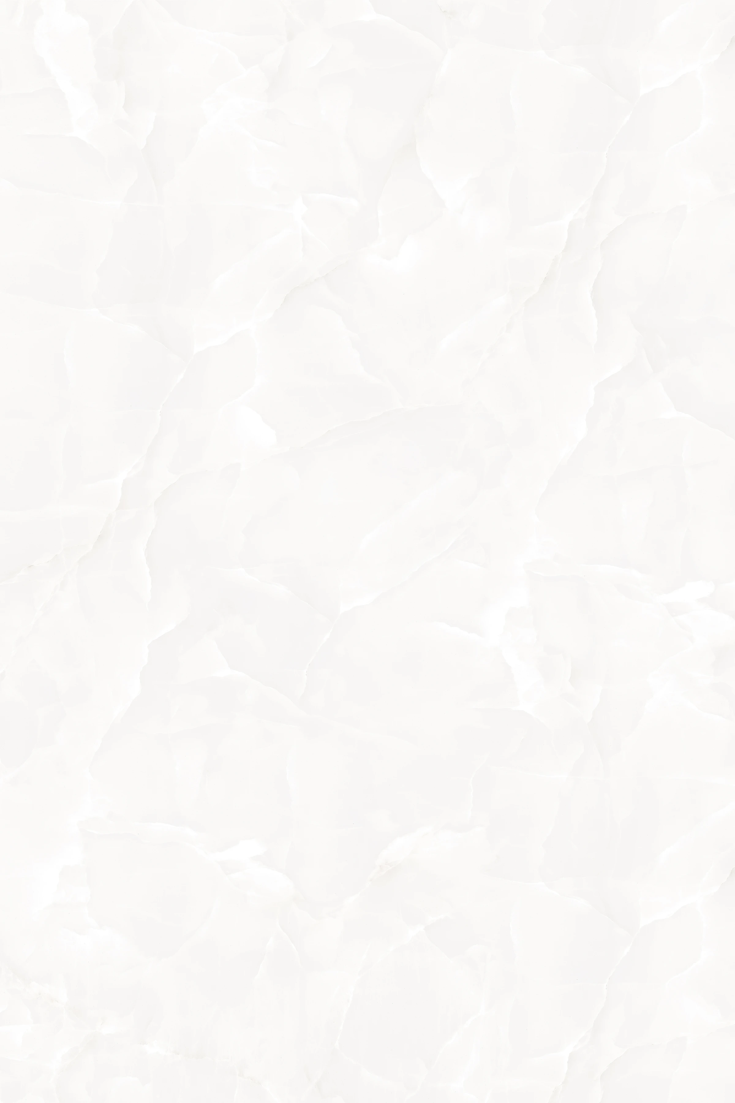 FOG WHITE_F1