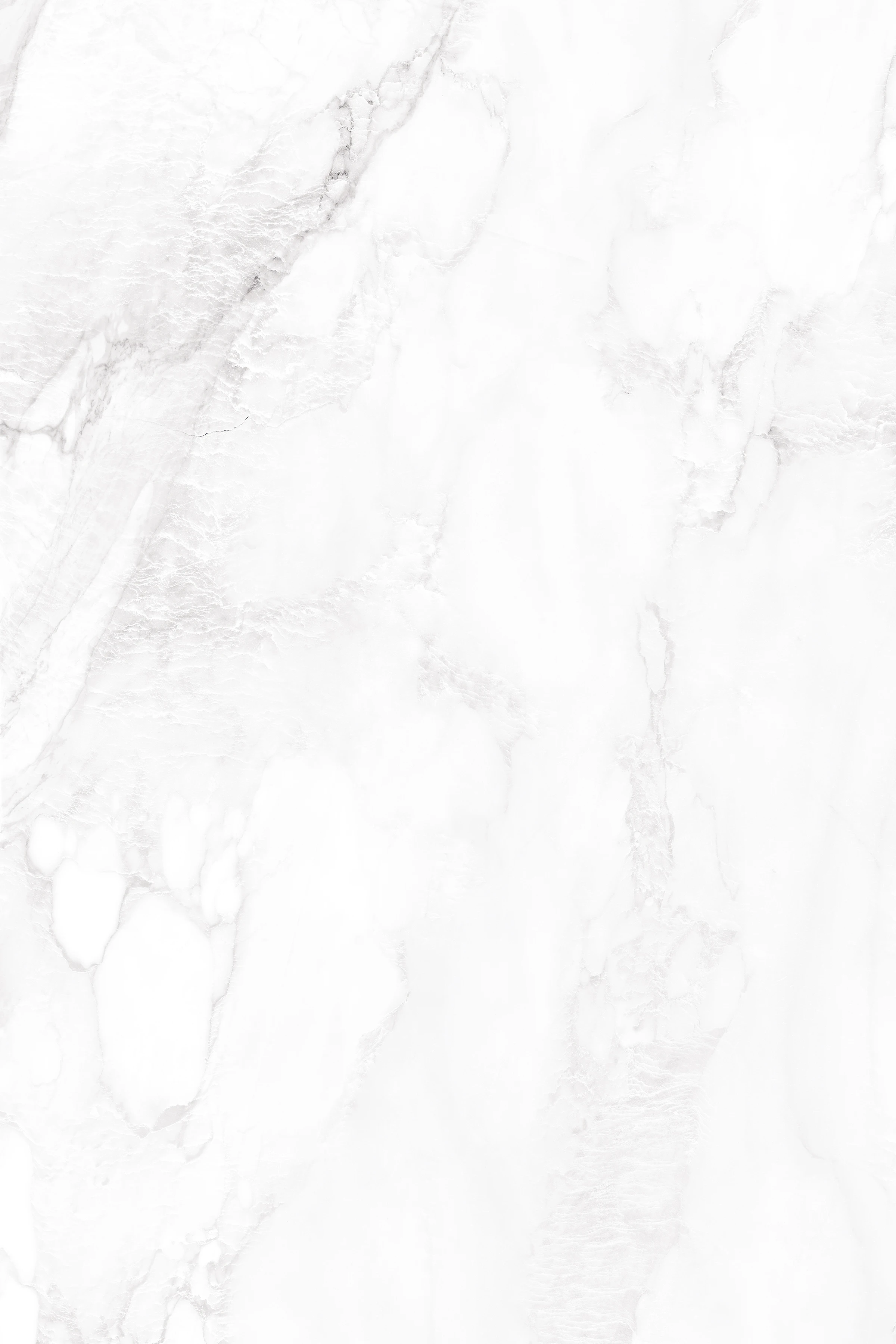 GLACIER BLANCO_F1
