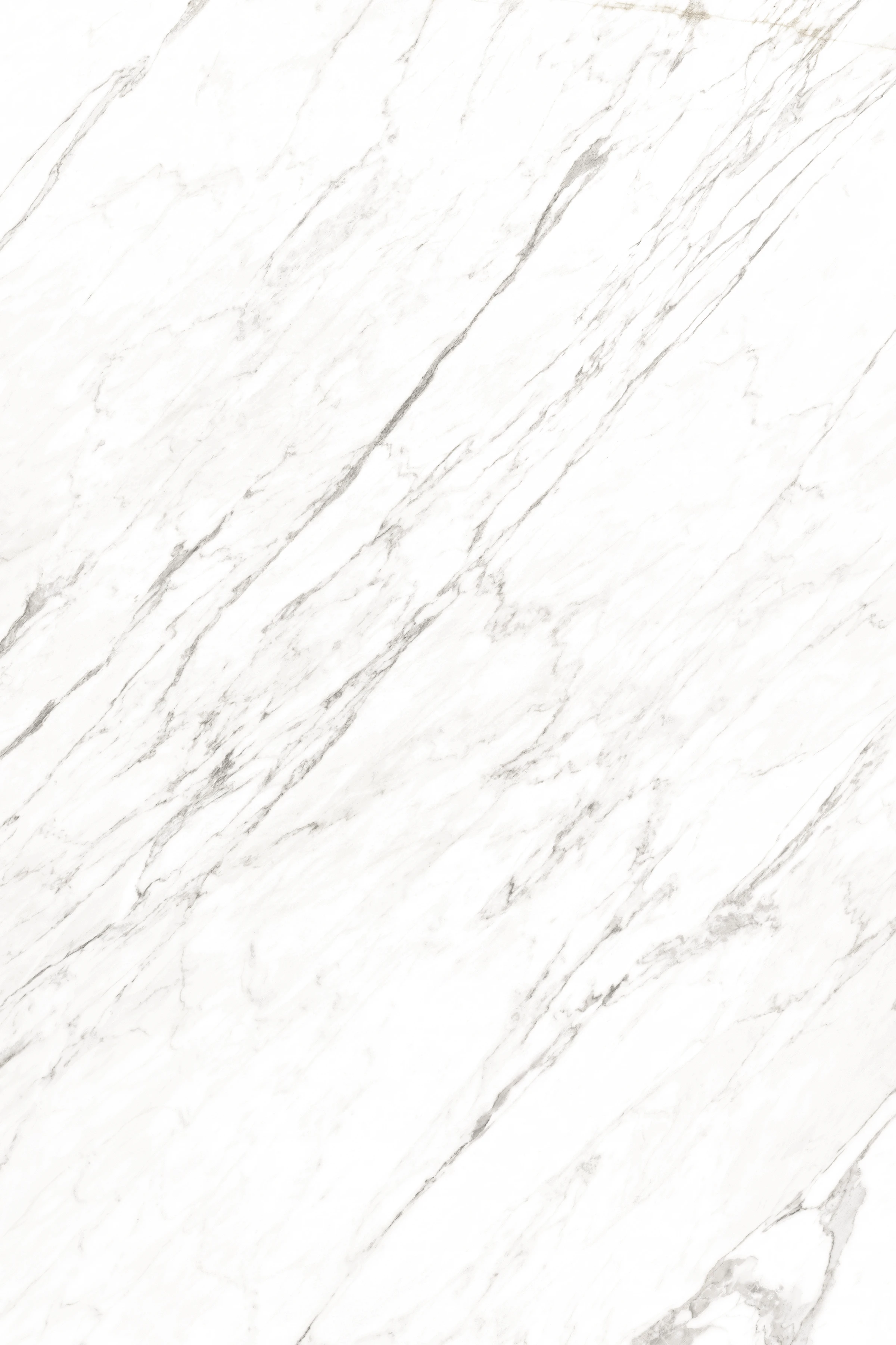 GAZIK WHITE_F1