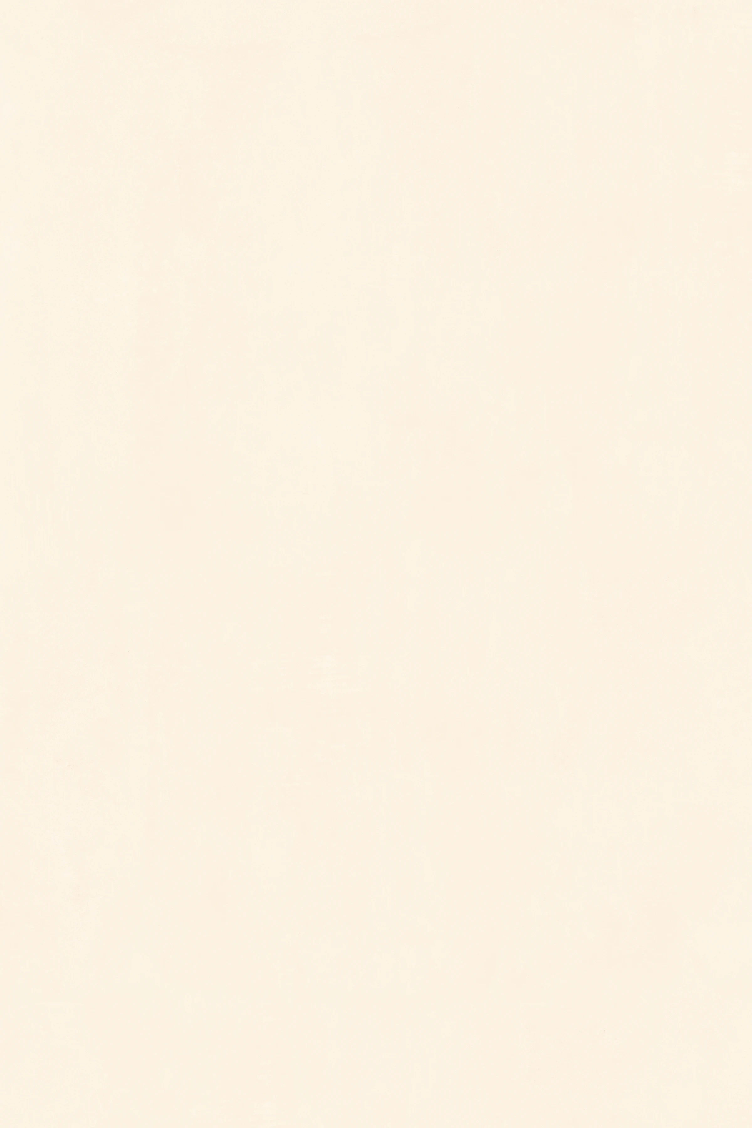 STONE BEIGE_F1